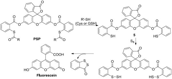 Scheme 4