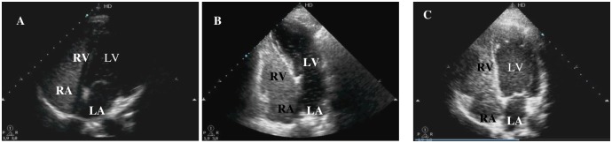 Fig 3