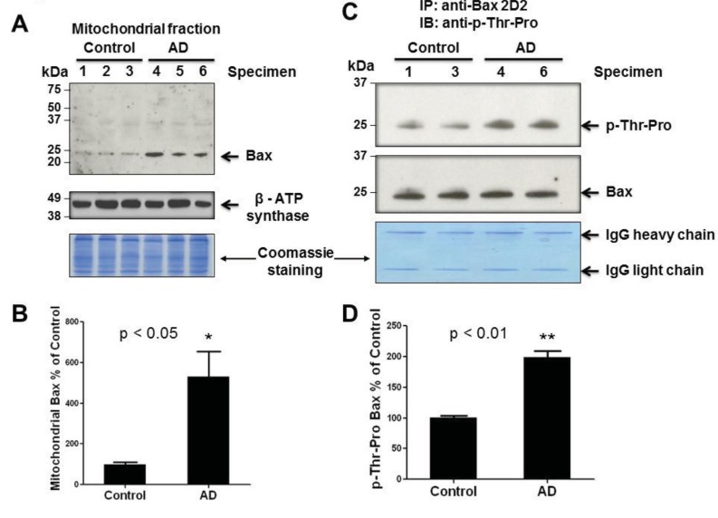 Fig. (3)