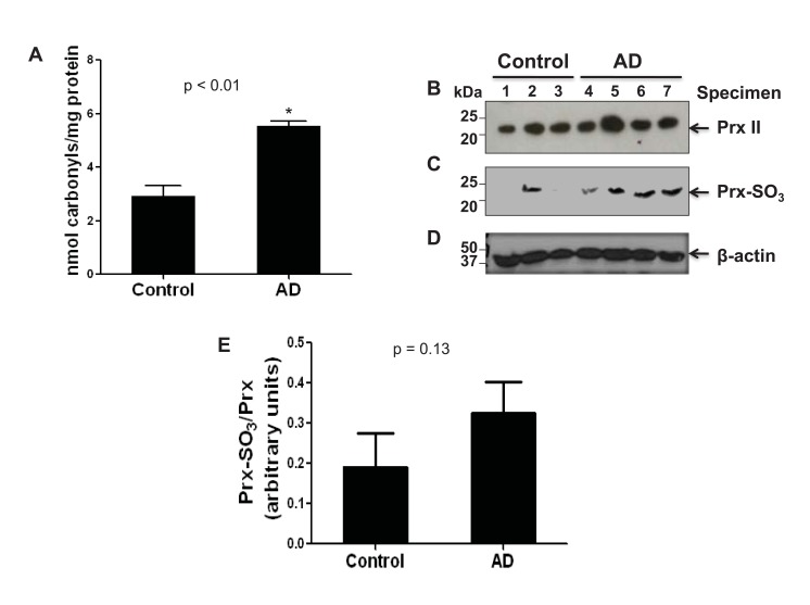 Fig. (1)