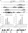 FIG. 5.