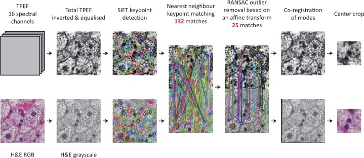 Fig. 2