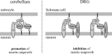 Figure 11.