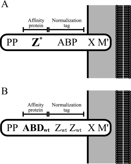 FIG. 1.