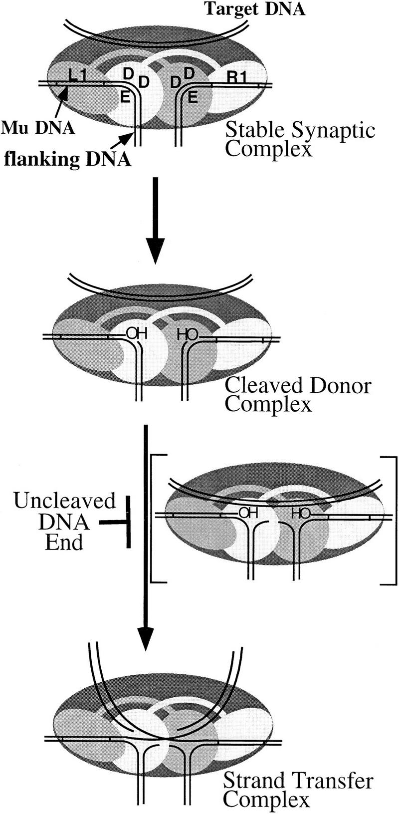 Figure 8