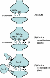 Fig. 2
