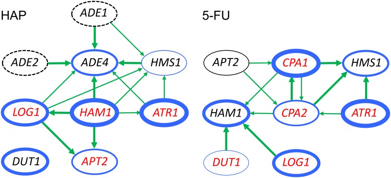 Fig 8