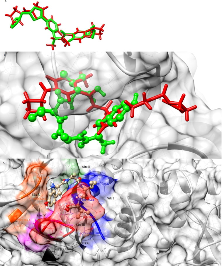 Fig. 8