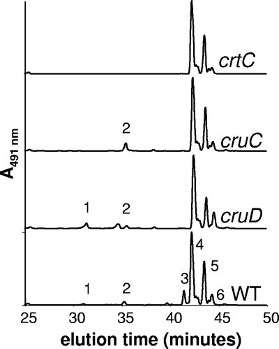 FIG. 4.