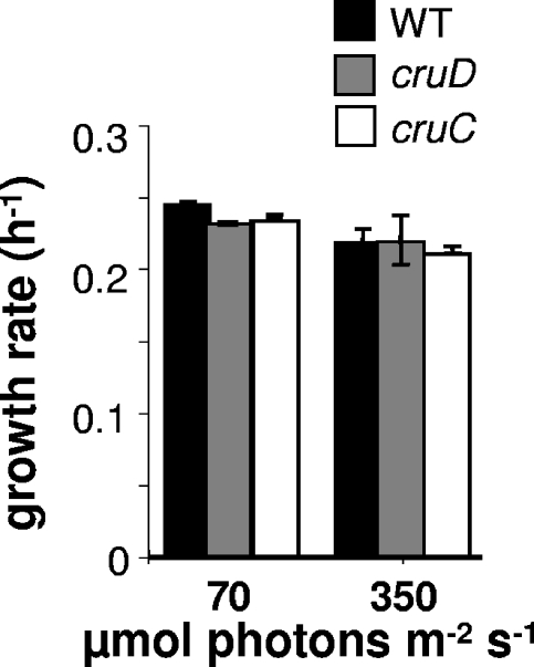 FIG. 5.