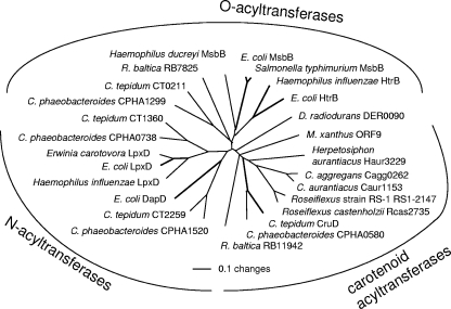 FIG. 7.