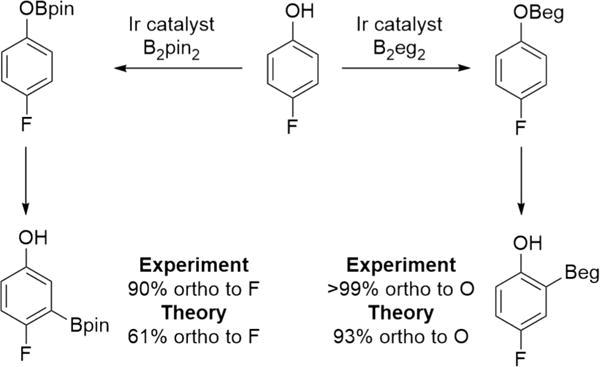 Scheme 5