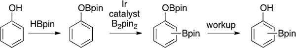 Scheme 2