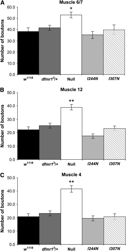 Figure 2.—