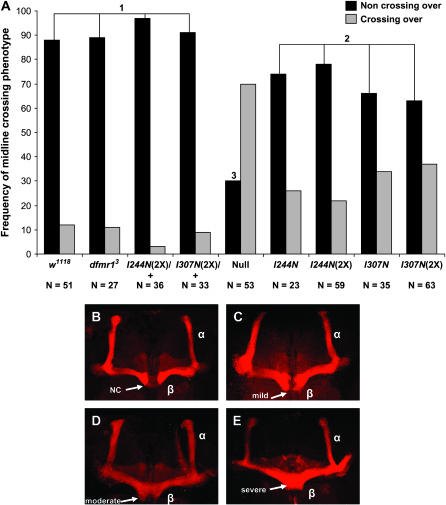 Figure 3.—