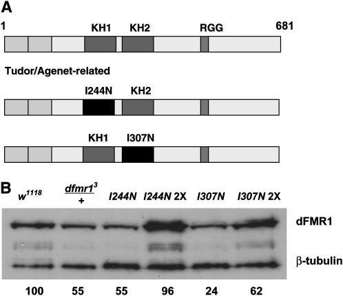 Figure 1.—