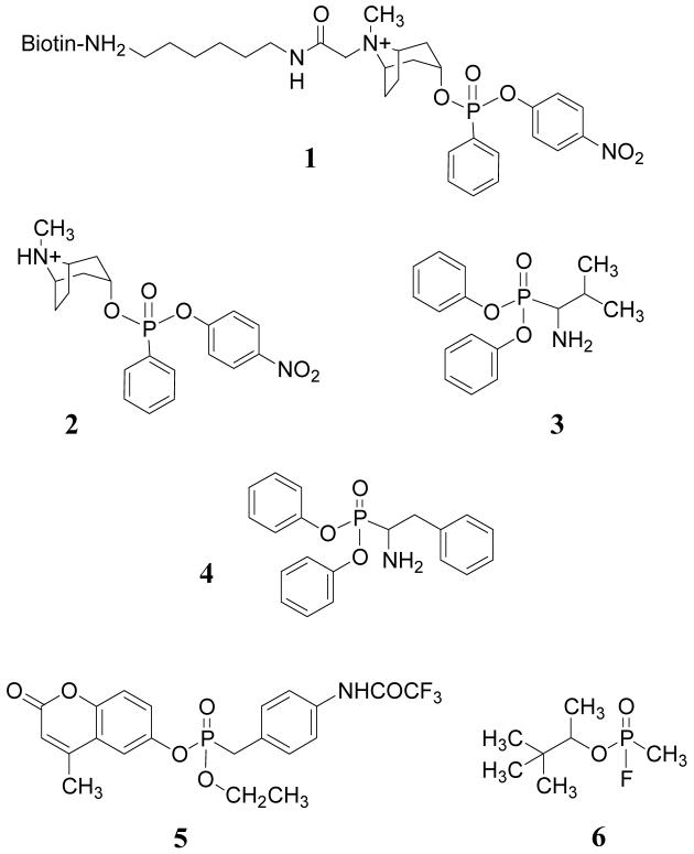 Chart 1