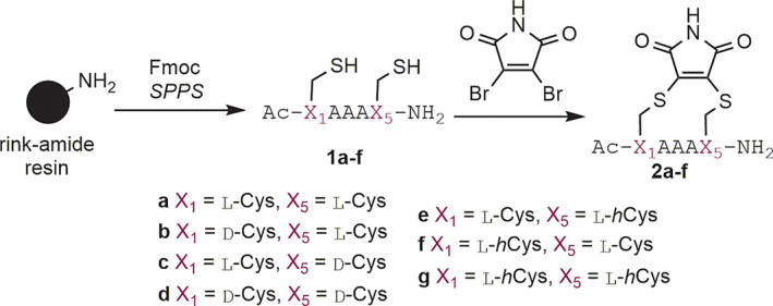 Scheme 1