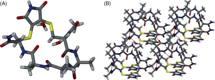 FIGURE 4