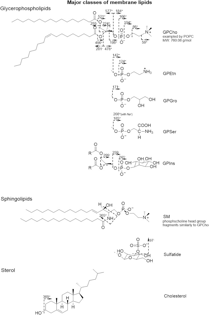 Fig. 2.