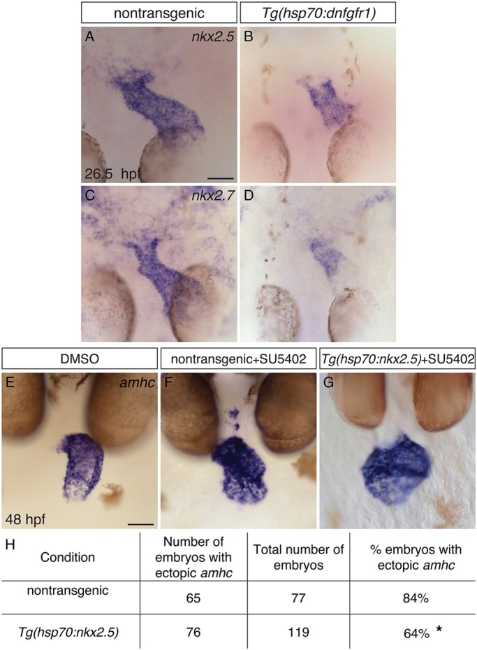 Fig. 9.