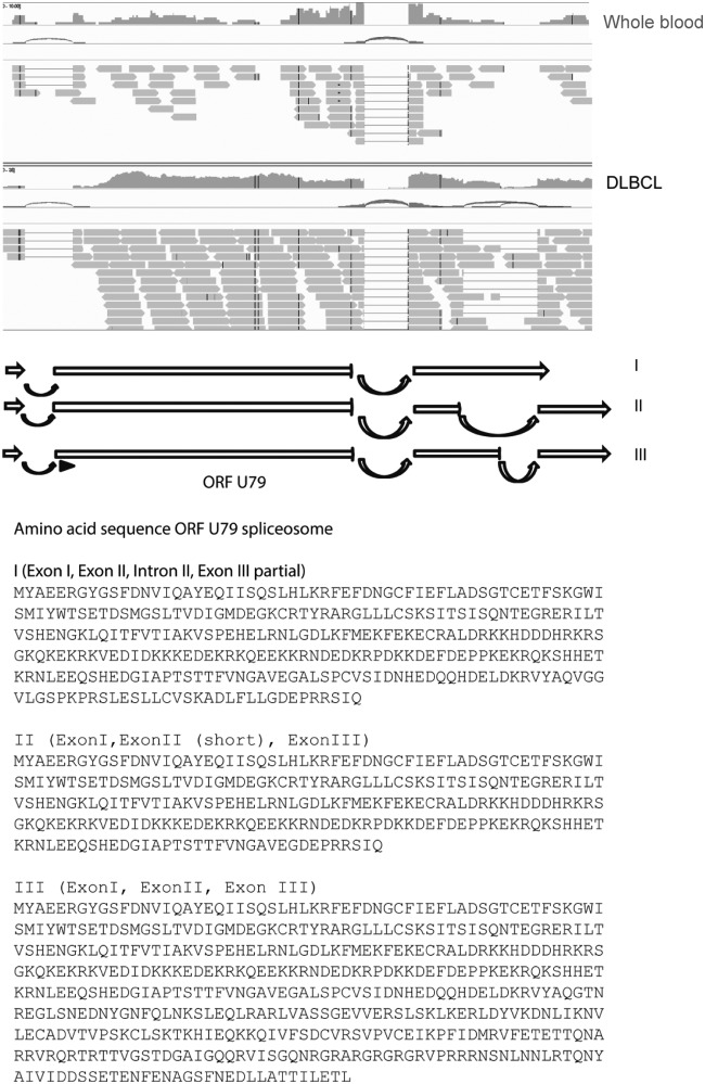 FIG 2