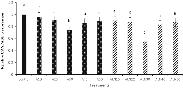 Figure 3