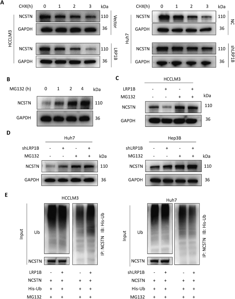 Fig. 7