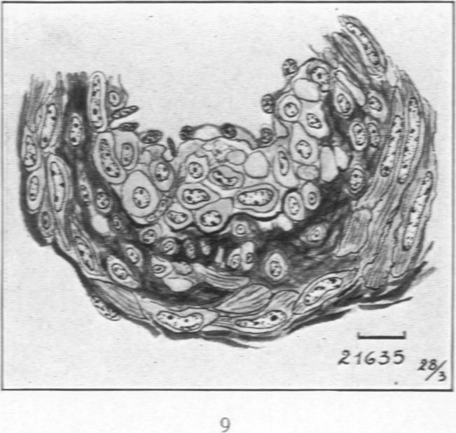 Fig. 9