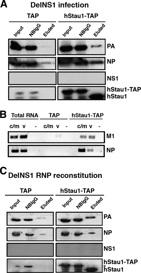 FIG. 4.