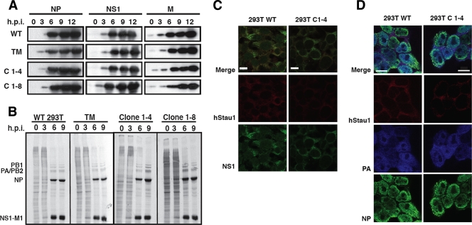 FIG. 8.