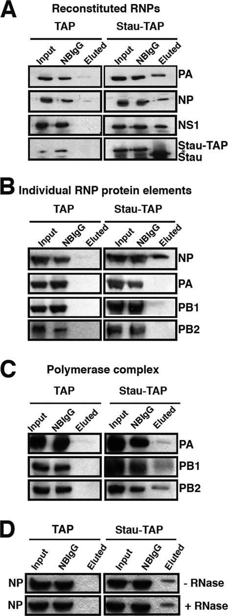 FIG. 5.