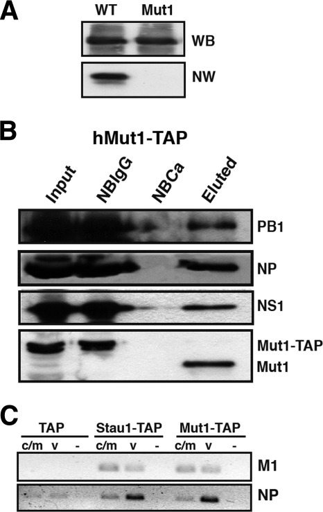 FIG. 3.