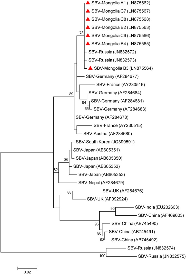 Fig 2