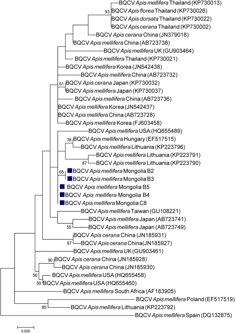 Fig 3