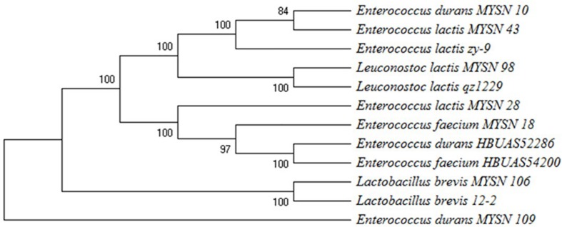 FIGURE 3