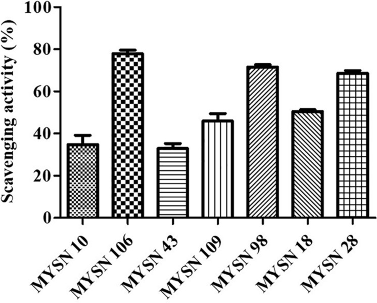 FIGURE 5