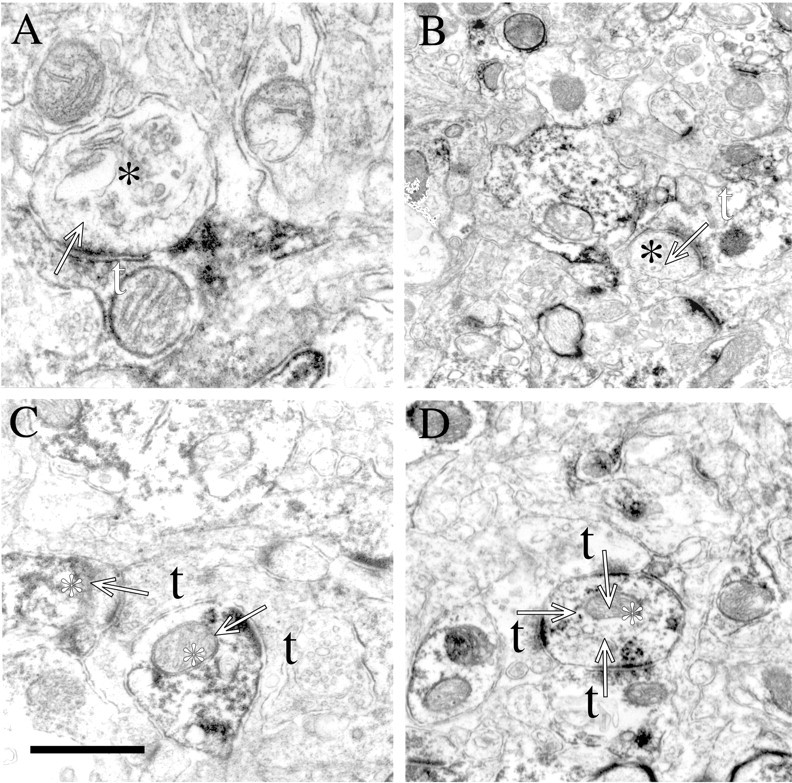 Fig. 8.