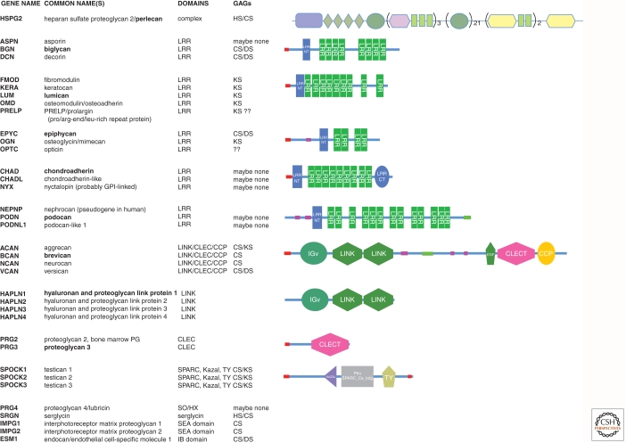 graphic file with name cshperspect-ECM-004903_T1.jpg