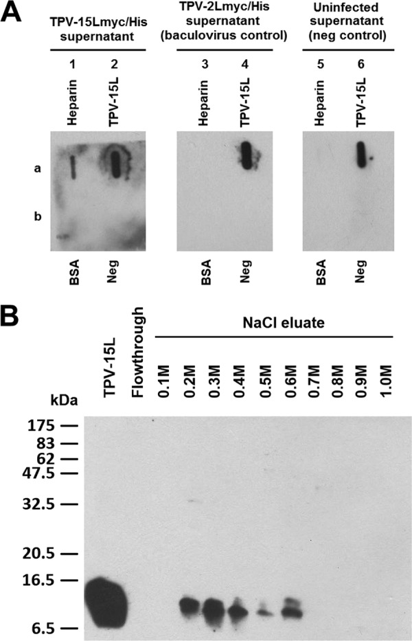 Fig 5