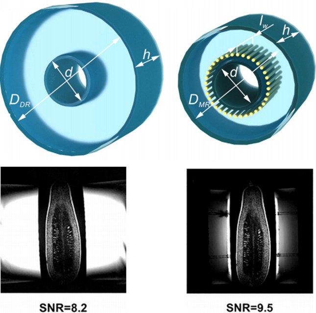 Fig. 20