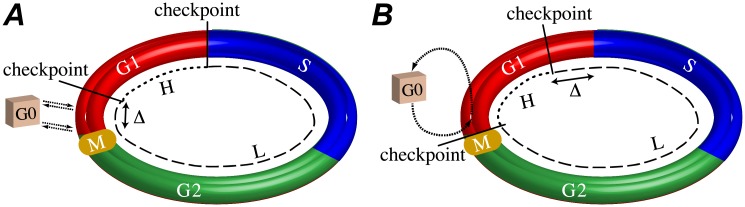 Fig 8