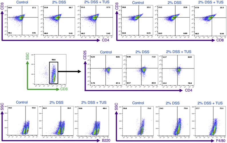 Supplementary Fig. 2