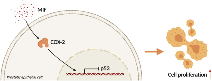 Fig. 8.