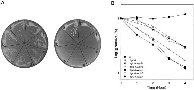 FIG. 5.