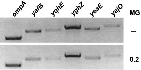 FIG. 4.