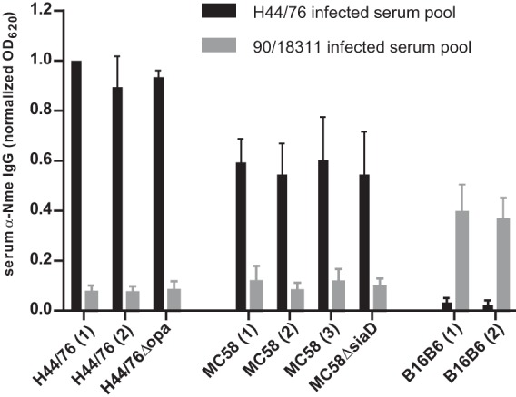 FIG 3