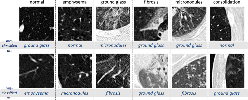 Fig. 10