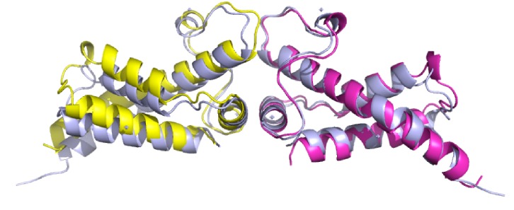 Figure 2—figure supplement 4.