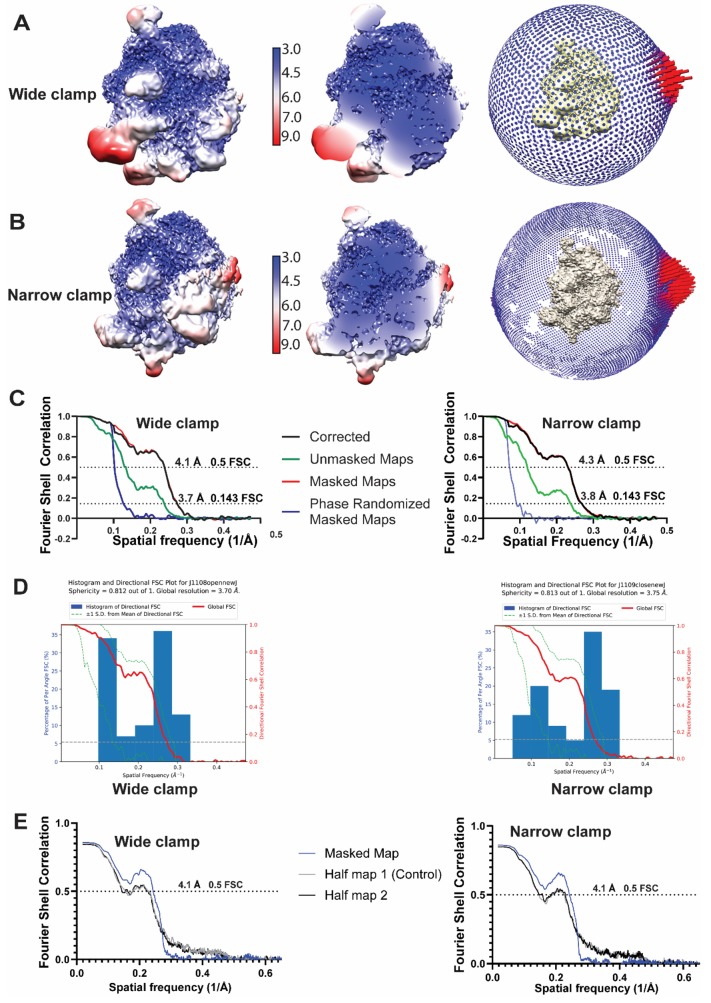 Figure 2—figure supplement 2.